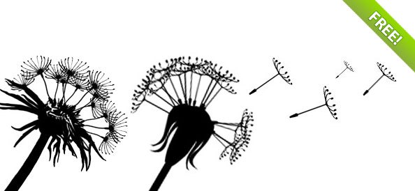 PSD Dandelion Silhouettes with Flying Seeds